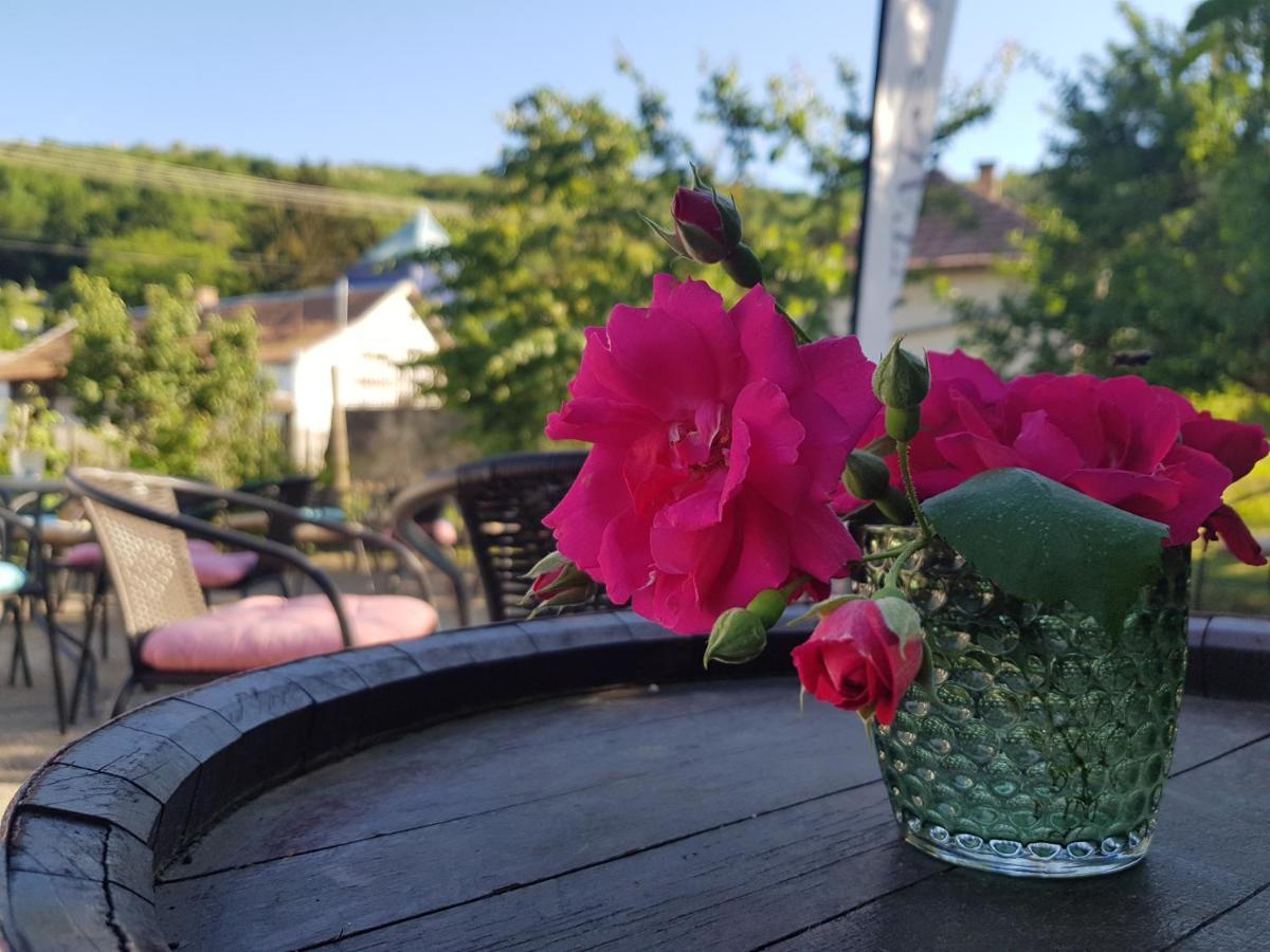 Antaloczy Cottage Токай Екстериор снимка